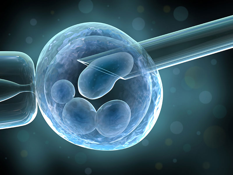 Fertilização In Vitro